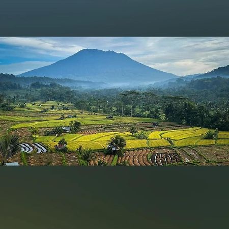 Lumbung Ayu Sari And Spa Sidemen  Eksteriør bilde