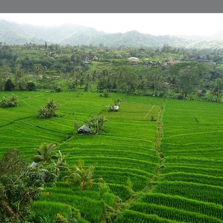 Lumbung Ayu Sari And Spa Sidemen  Eksteriør bilde
