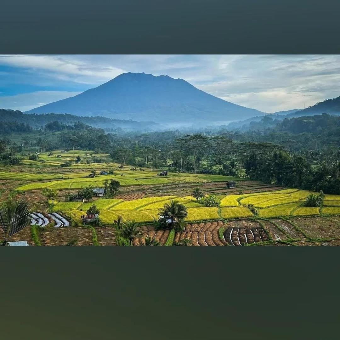 Lumbung Ayu Sari And Spa Sidemen  Eksteriør bilde