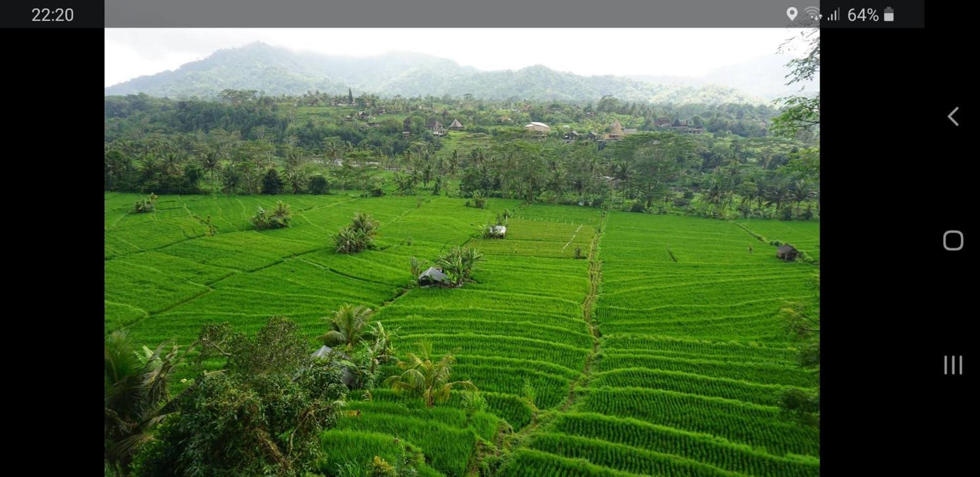 Lumbung Ayu Sari And Spa Sidemen  Eksteriør bilde