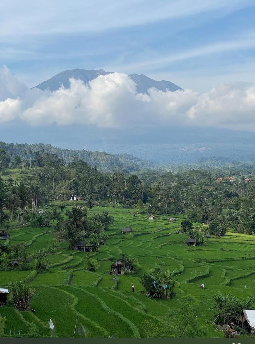 Lumbung Ayu Sari And Spa Sidemen  Eksteriør bilde