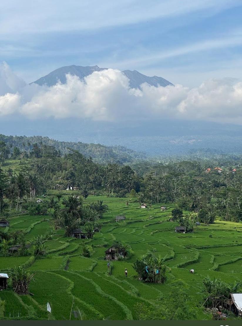 Lumbung Ayu Sari And Spa Sidemen  Eksteriør bilde